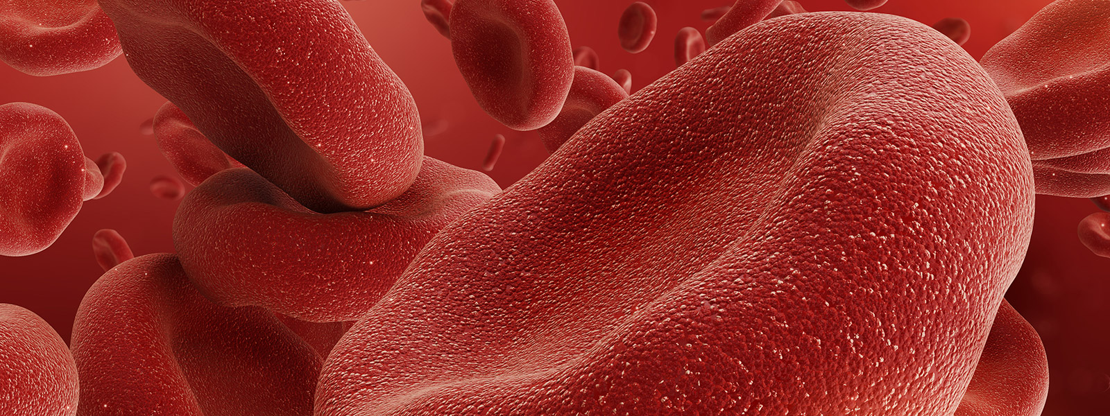 group of red blood cells