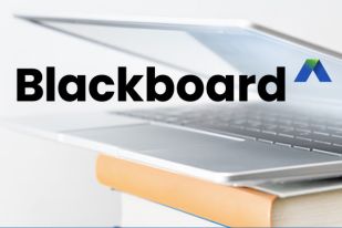 Backboard NPC Orientation