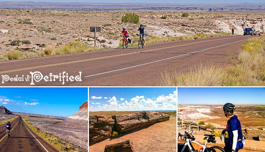 bike riders in the Petrified Forest National Park
