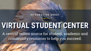 Virtual Student Success Center