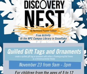 Discovery Nest