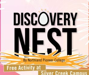 Discovery Nest Image