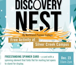 Discovery Nest