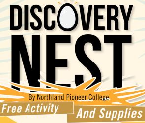 Summer 2022 Discovery Nest