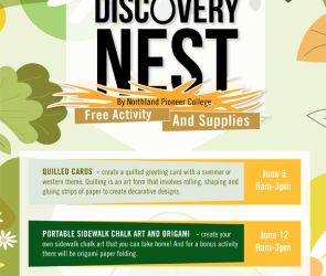 Discovery Nest Summer 2023