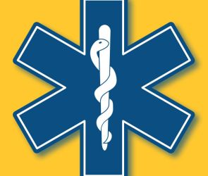 Paramedic Logo