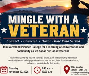 Mingle with a Veteran image