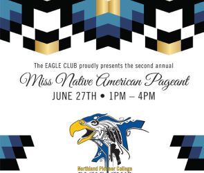 Miss Native NPC Poster Image