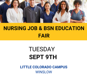 Nursing Job Fair