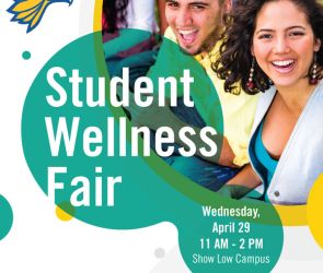 Student Wellness Fair