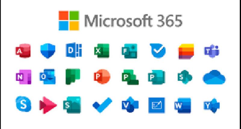 MS365