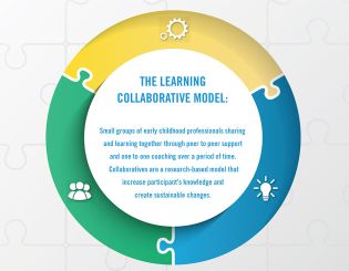 ECD Collaboratives