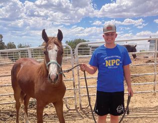 Hancock and Horse