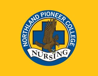 Nursing Logo