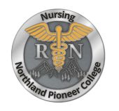20-21 Nursing Pin 20-21 Nursing Pin