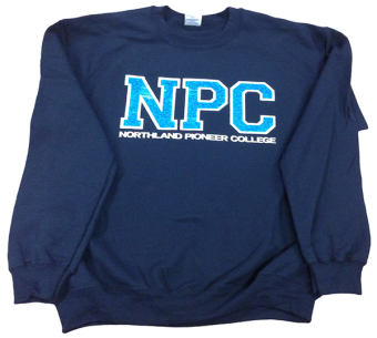 Sparkle Sweatshirt - no hood