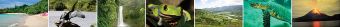 photos of costa rica wildlife and nature