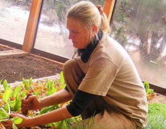Kim in one of her solar greenhouses.