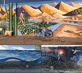 Pedal the Petrified - The Virtual Tour Pedal the Petrified 2020 - The Virtual Tour
