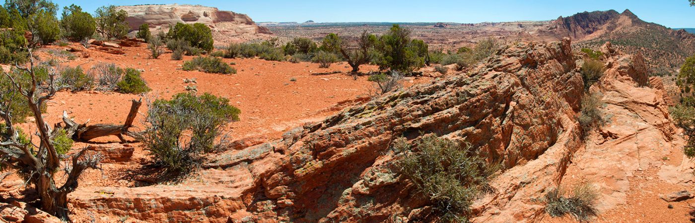 Arizona High Desert