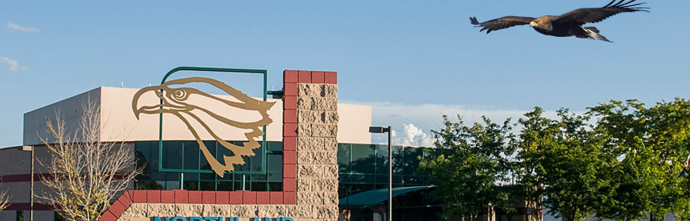 golden eagle flying over campus sign