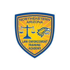 NALETA Logo
