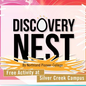 Discovery Nest Image