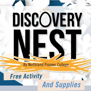 Discovery Nest
