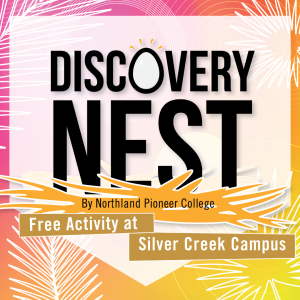 Discovery Nest