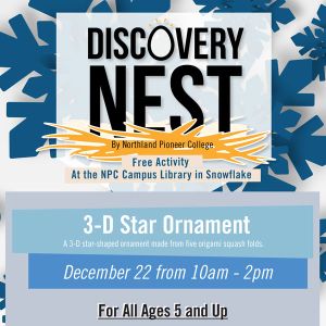 Discovery Nest Winter 2025