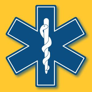 Paramedic Logo