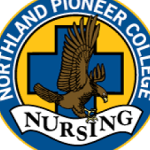 Nursing Logo