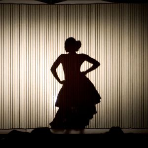 Salsa Dancer