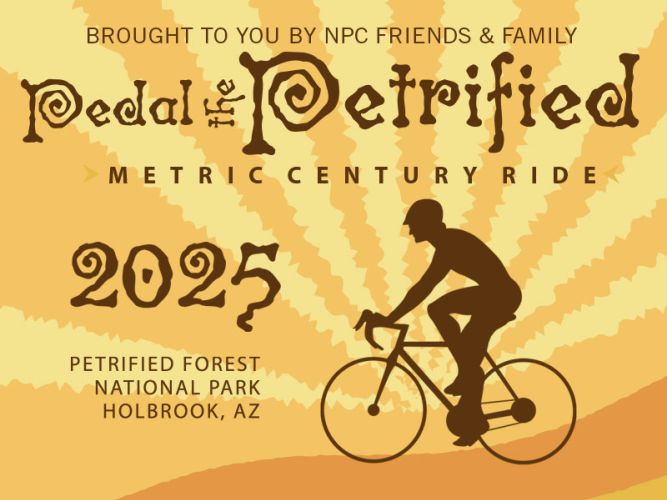 Pedal the Petrified Logo