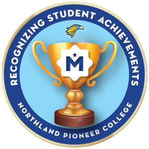 Student Achievement Merit Badge